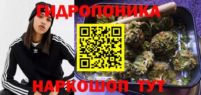 стафф Гагарин