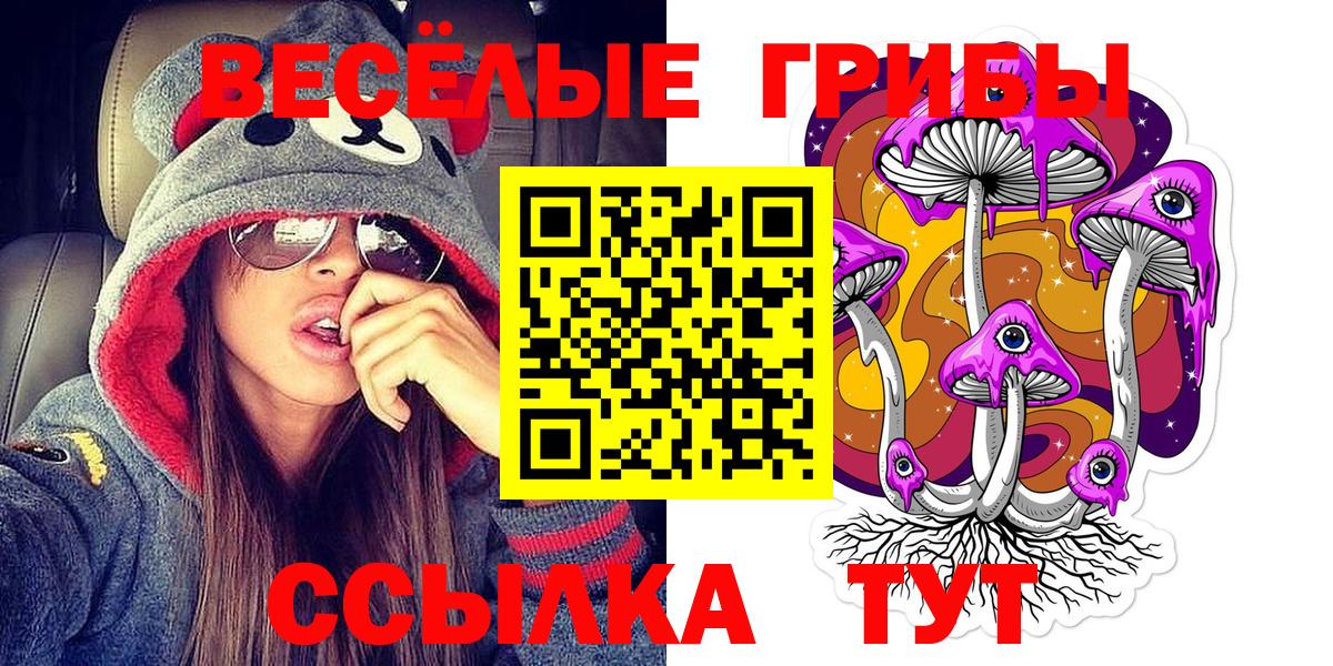 Гудермес  Галлюциногенные грибы Cubensis  Вход с VPN 