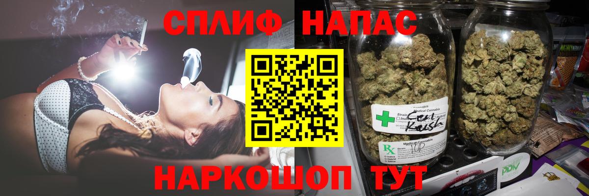 Бошки Шишки план Гудермес
